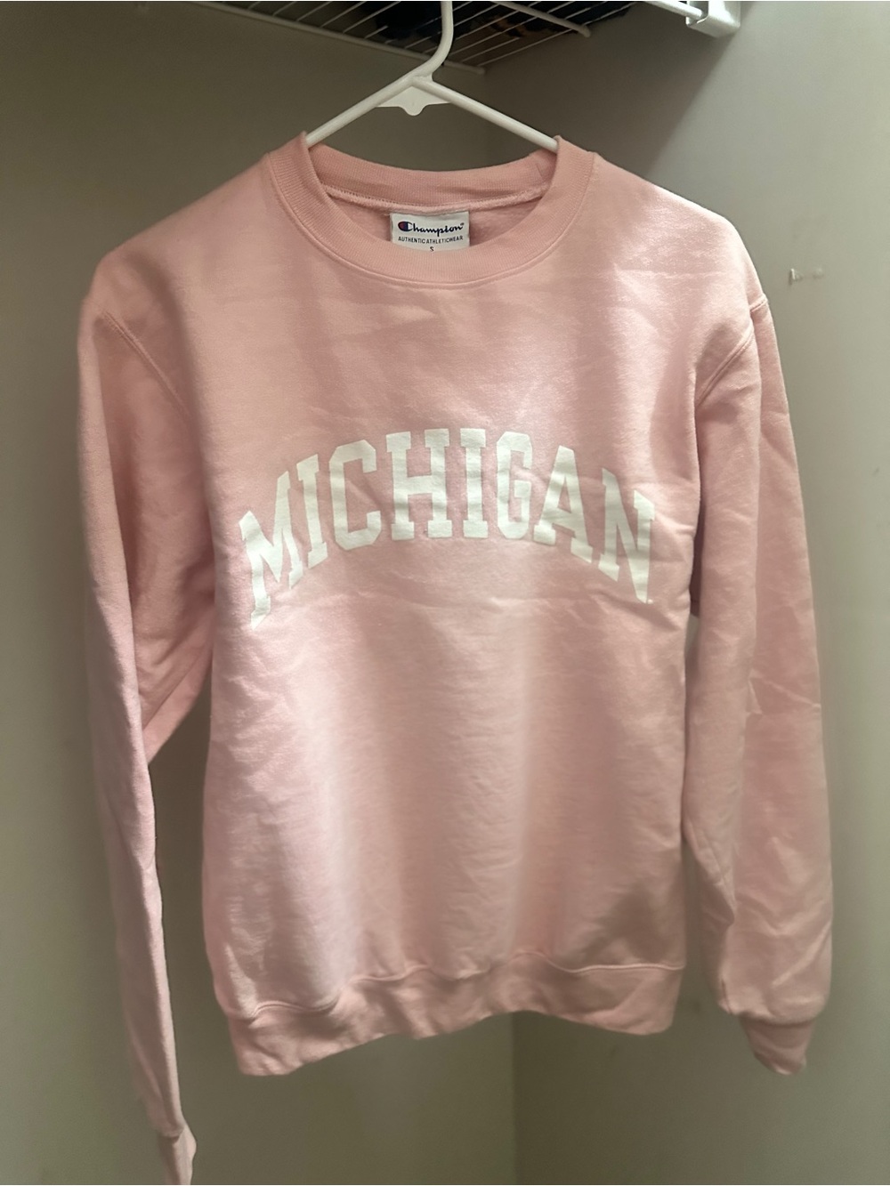 Champion Pink Michigan Crewneck Sweatshirt